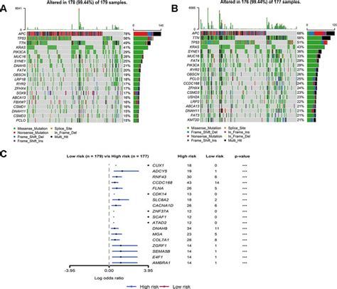 Mutant Landscape Of High Risk And Low Risk Groups In Tcga A B