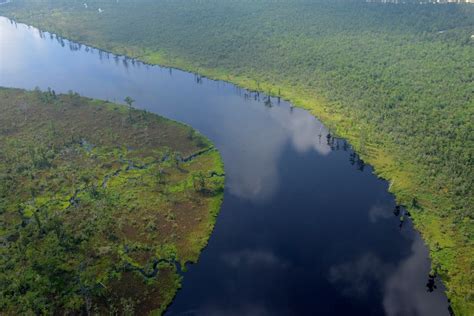 Climate Change Pollution Imperil Cape Fear Advocates Say Coastal Review