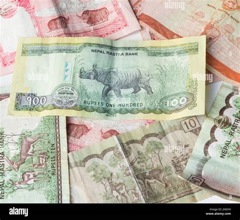 Nepal Money Currency High Resolution Stock Photography and Images - Alamy