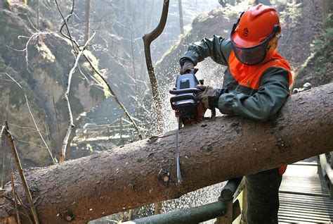 Bundesheer Steiermark Fotogalerien Sturm Paula Aufr Umarbeiten