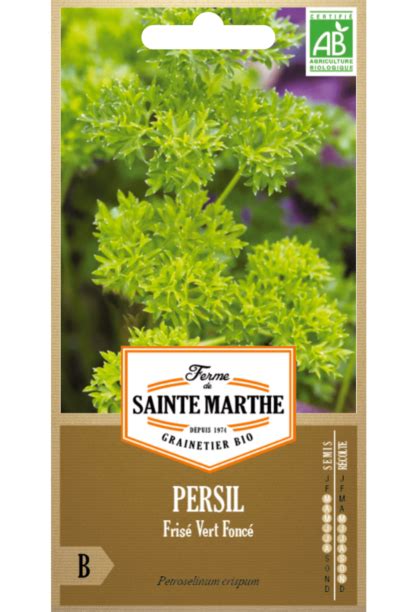 H G C P Persil Frisé Vert Foncé La Ferme Sainte Marthe