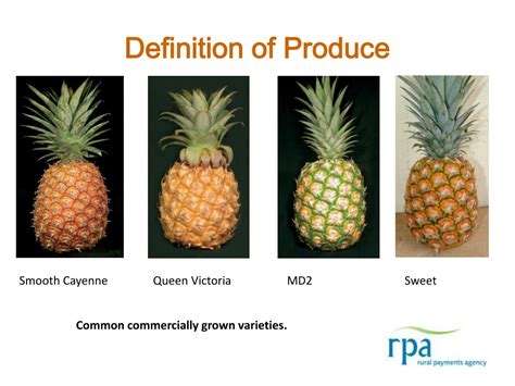 Ppt Pineapples Powerpoint Presentation Free Download Id9648596