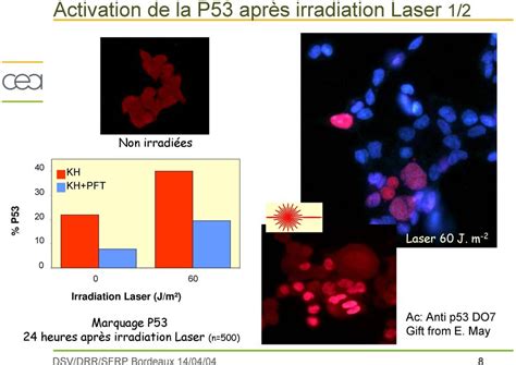 UNIVERSITE PARIS 13 Fourniture d un laser pulsé femtoseconde pour l