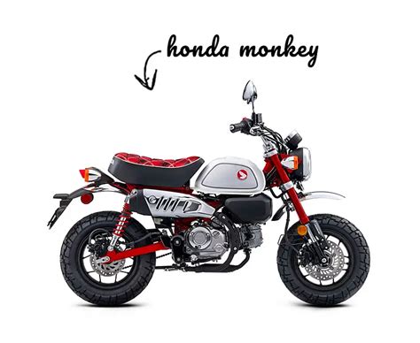 Honda Monkey 125 (Speed, Weight, HP, Specs) - Good?