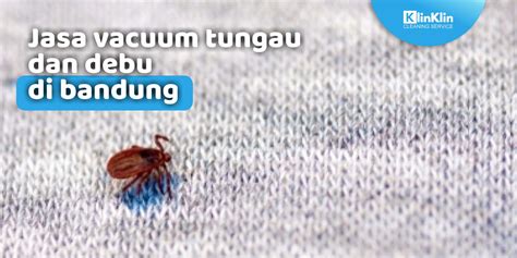 Jasa Vacuum Tungau Dan Debu Di Bandung Klinklin