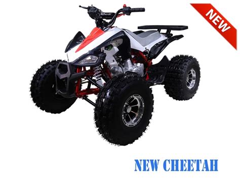 Tao Tao 125 Atv Ata 125 New Cheetah Taotao New Cheetah 125cc Online