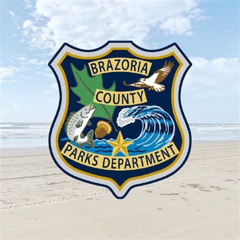 brazoria county public records - Poursteady Utilities