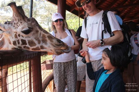 Tour of the Giraffe Centre in Nairobi, Kenya (18) - Wheels On Our Feet