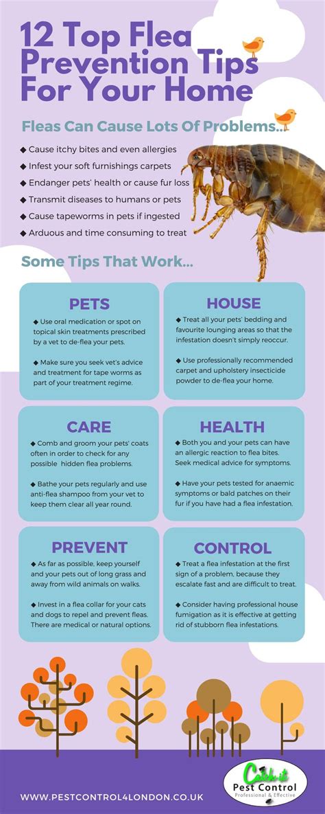 This Infographic From Catch It Pest Control Will Give You Tips And