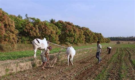 How can we improve farmers income in India? - Modern Agriculture India