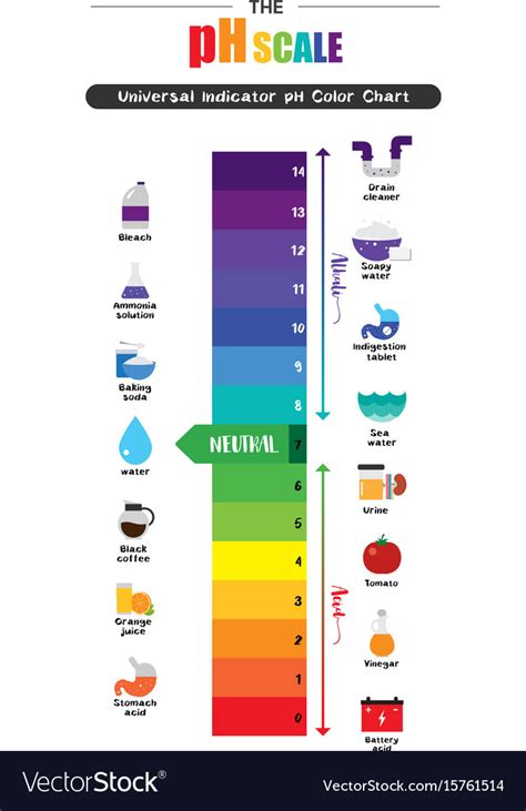 Ph scale universal indicator color chart Vector Image