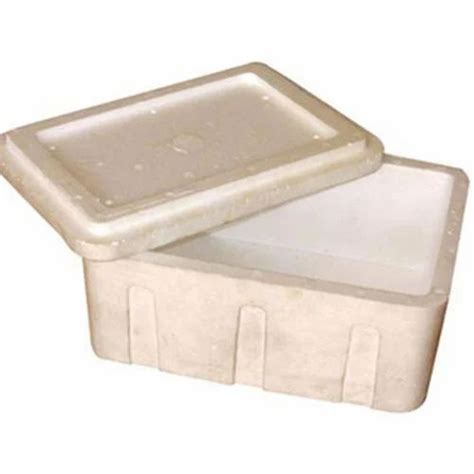 Eps Ice Box For Packaging At Rs 250piece In Kalol Id 3063016848