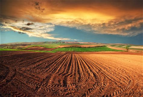 Spring shadow | The Pannonian Plain is a large plain in Cent… | Flickr 