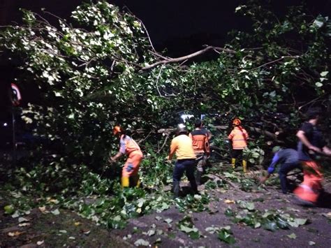 Cuaca Ekstrem Di Kota Malang Sebabkan 10 Pohon Tumbang 12 Titik Banjir