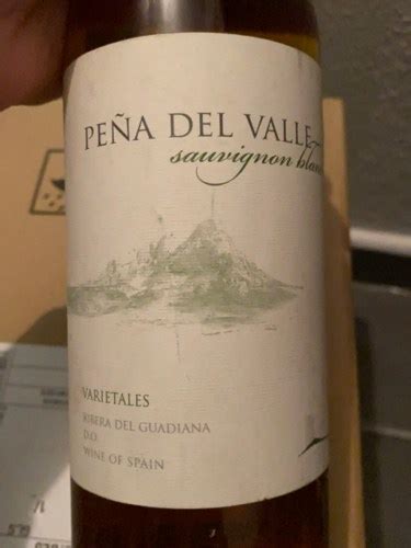 Pe A Del Valle Sauvignon Blanc Vivino Us