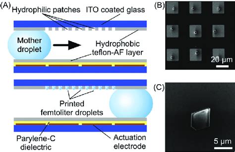 A Schematic Illustration Of The Digital Microfluidic Device Used In