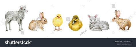 Farm Baby Animals Hand Drawn Illustration Stock Illustration 2189580317 | Shutterstock