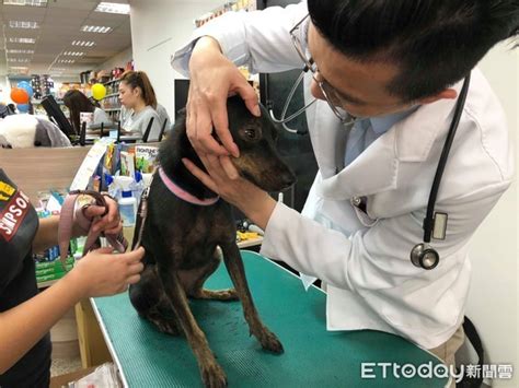 毛孩飼主全瘋狂！竹北店開幕「超殺優惠」擠爆人 邊境暴衝狂嗑頂級罐 Ettoday寵物雲 Ettoday新聞雲