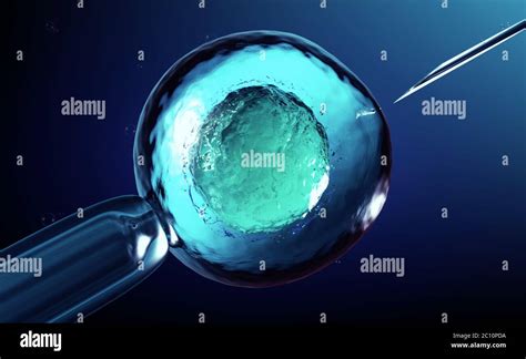 Representaci N D De Una Inseminaci N Artificial O Fecundaci N In Vitro