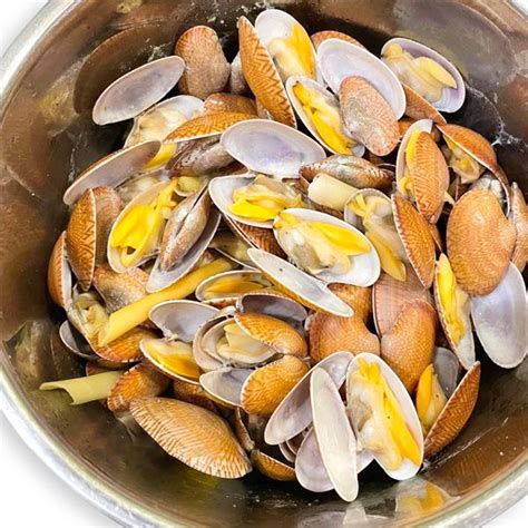 chi mua ngao hoa vang hap sa ngon gia  tai ha noi