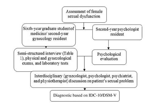 Scielo Brasil A Model For The Management Of Female Sexual