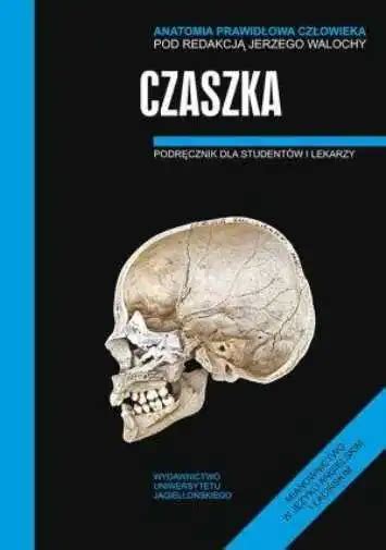 Anatomia Prawid Owa Cz Owieka Czaszka Prawidlowa Czlowieka Jerzy