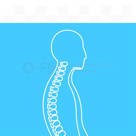 人的脊椎象蓝色概述样式隔绝了传染媒介例证细线标志人体脊柱图标，轮廓样式模板免费下载eps格式1500像素编号39602046 千图网