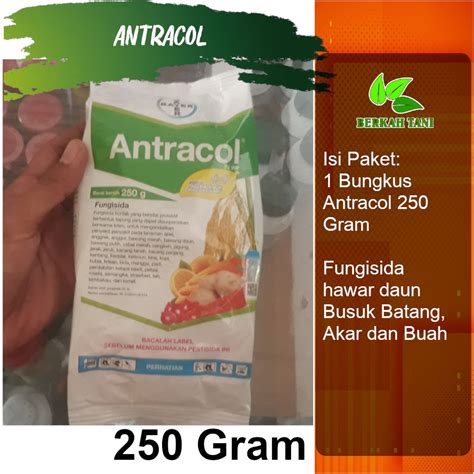 Jual Antracol 250 Gram Fungisida Antraknosa Busuk Batang Busuk Akar Dan