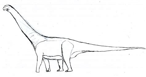 Aragosaurus Dinosaur Pedia Wikia Fandom