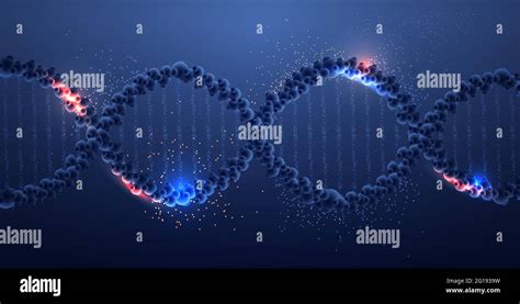 ADN genético humano estructura de moléculas helicoidales clínica