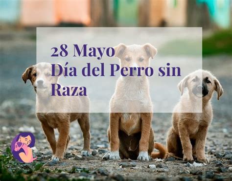 Dia Del Perro Sin Raza