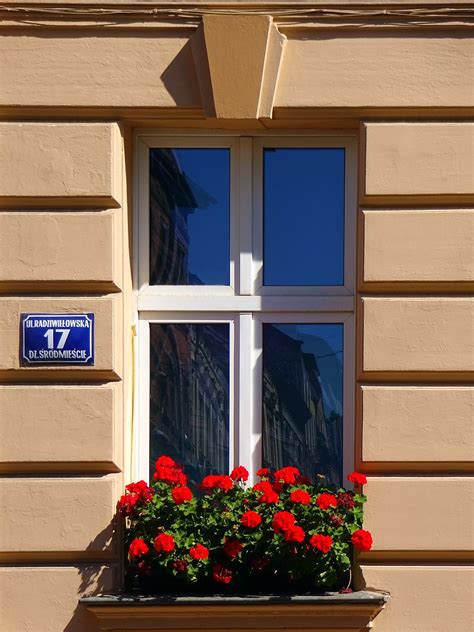 Fenster Mietshaus Krakau Kostenloses Foto Auf Pixabay Pixabay