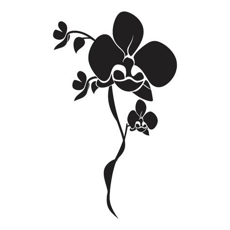 Premium Vector An Orchid Flower Vector Silhouette Isolated On A White Background