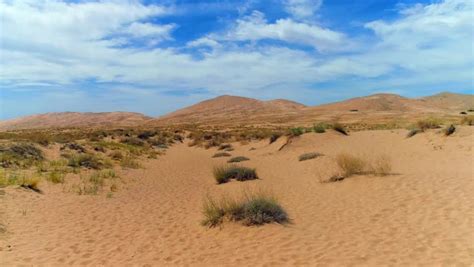 hills  shrubs landscapes   desert image  stock photo