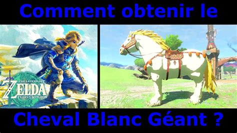 Zelda Tears of the Kingdom Comment obtenir le Cheval Blanc Géant