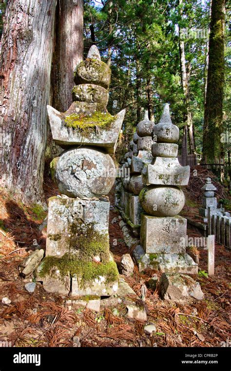 Hilera De Torres De Cinco Piedras Gorinto Entre Altos Cedros Bajo El