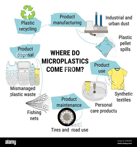 Infographic Of Microplastics Primary And Secondary Micro Beads In