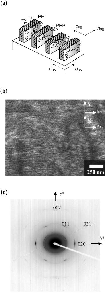 A Schematic Model Of The Crystalline And Amorphous Microdomains In