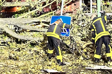 Unwetter wütet in Frankfurt Baum stürzt auf Restaurant