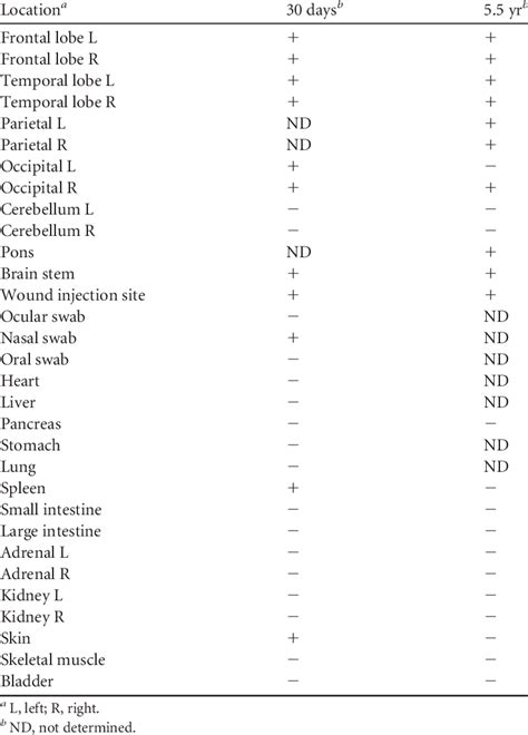 Results of PCR testing for HSV DNA in treated A. nancymae at 30 days... | Download Table