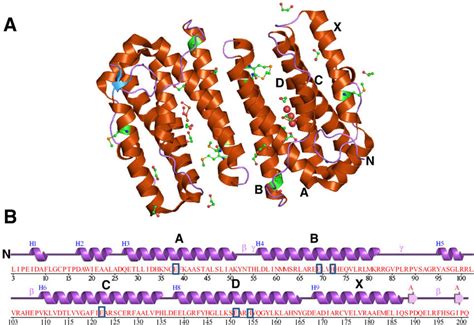 The Crystal Structure Of Miae From P Putida The Structure Was Solved