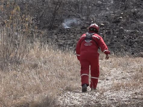 Arrasa Incendio Con Hect Reas De Sierra De Lobos