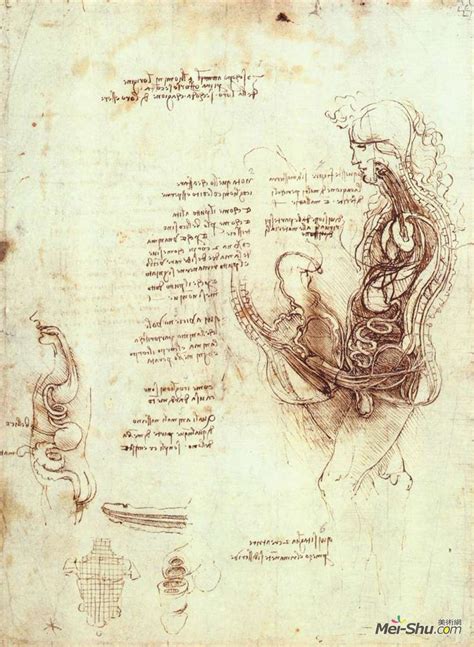 Leonardo Da Vinci Mei