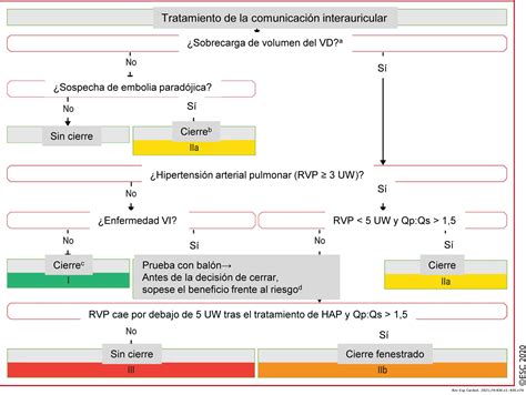 Guía Esc 2020 Para El Tratamiento De Las Cardiopatías Congénitas Del