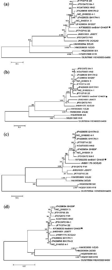 Phylogenetic Trees Of Complete Genome Sequence A Ns1 B Np1 C Download Scientific