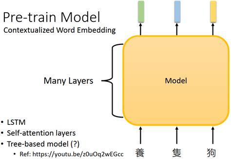 NTU DLCH08 Pre trained Language Models 知乎