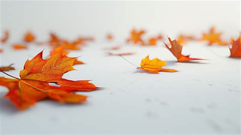 Autumn Leaves Wallpapers Free Download