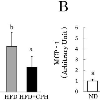 Effect of CPH on MCP-1 secretion and mRNA expression. MCP-1 serum level ...