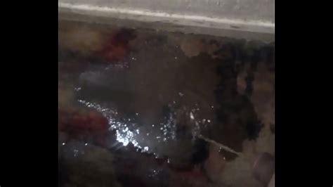 Desperate Carpet Piss Free Mobile Porn Videos IPornTV