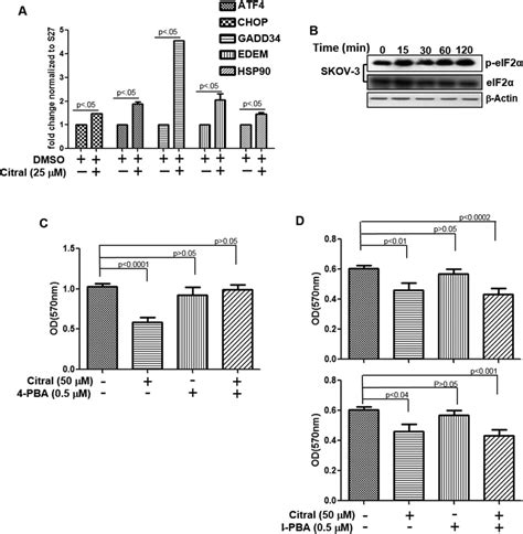 Citral Inhibits Proliferation Of SKOV 3 Cells By Inducing ER Stress A